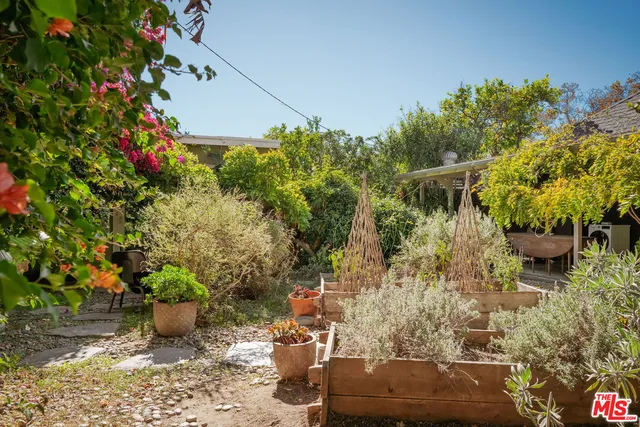 a small garden covered with tall trees