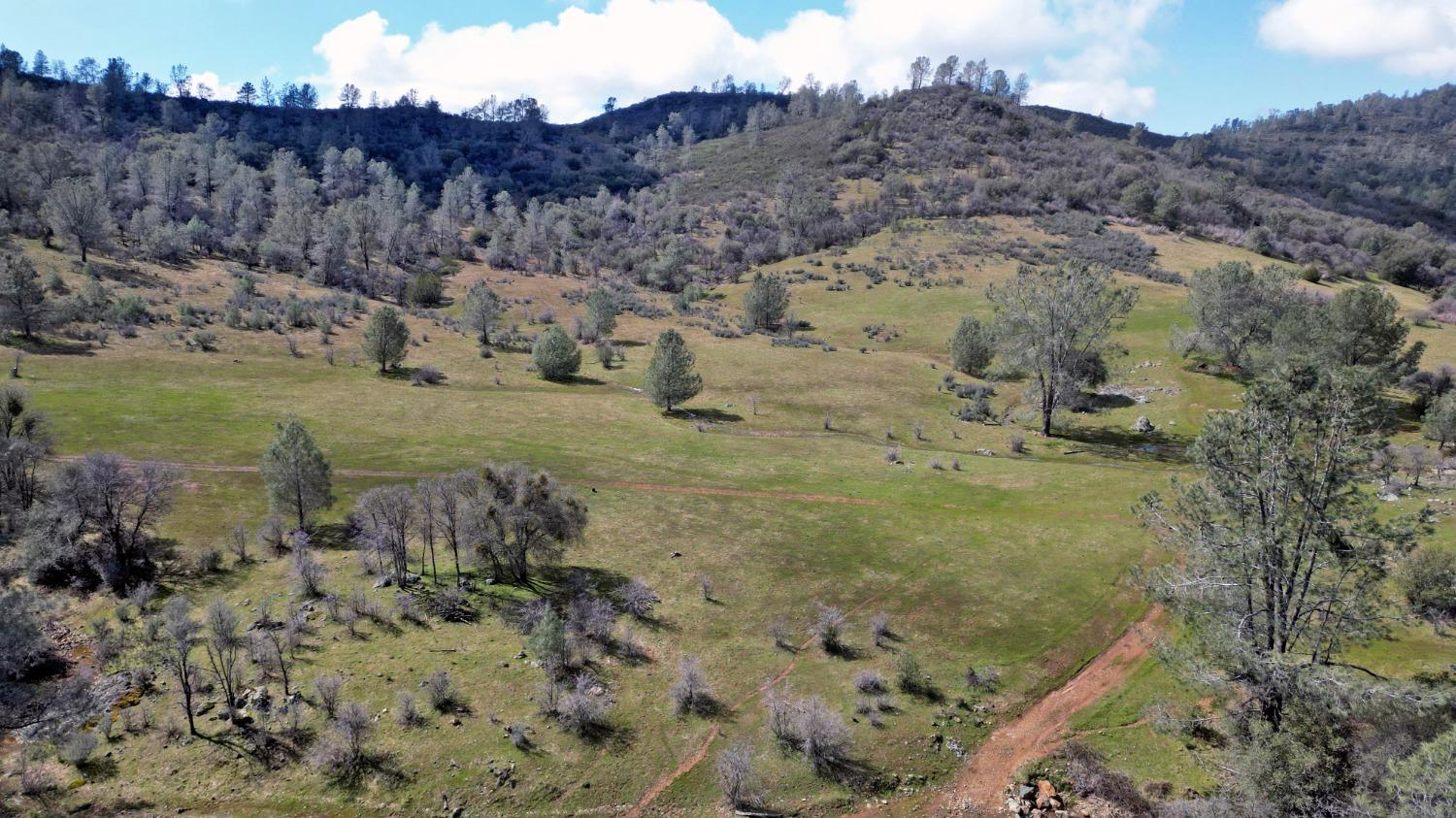 a view of a dry field with mountains in the background