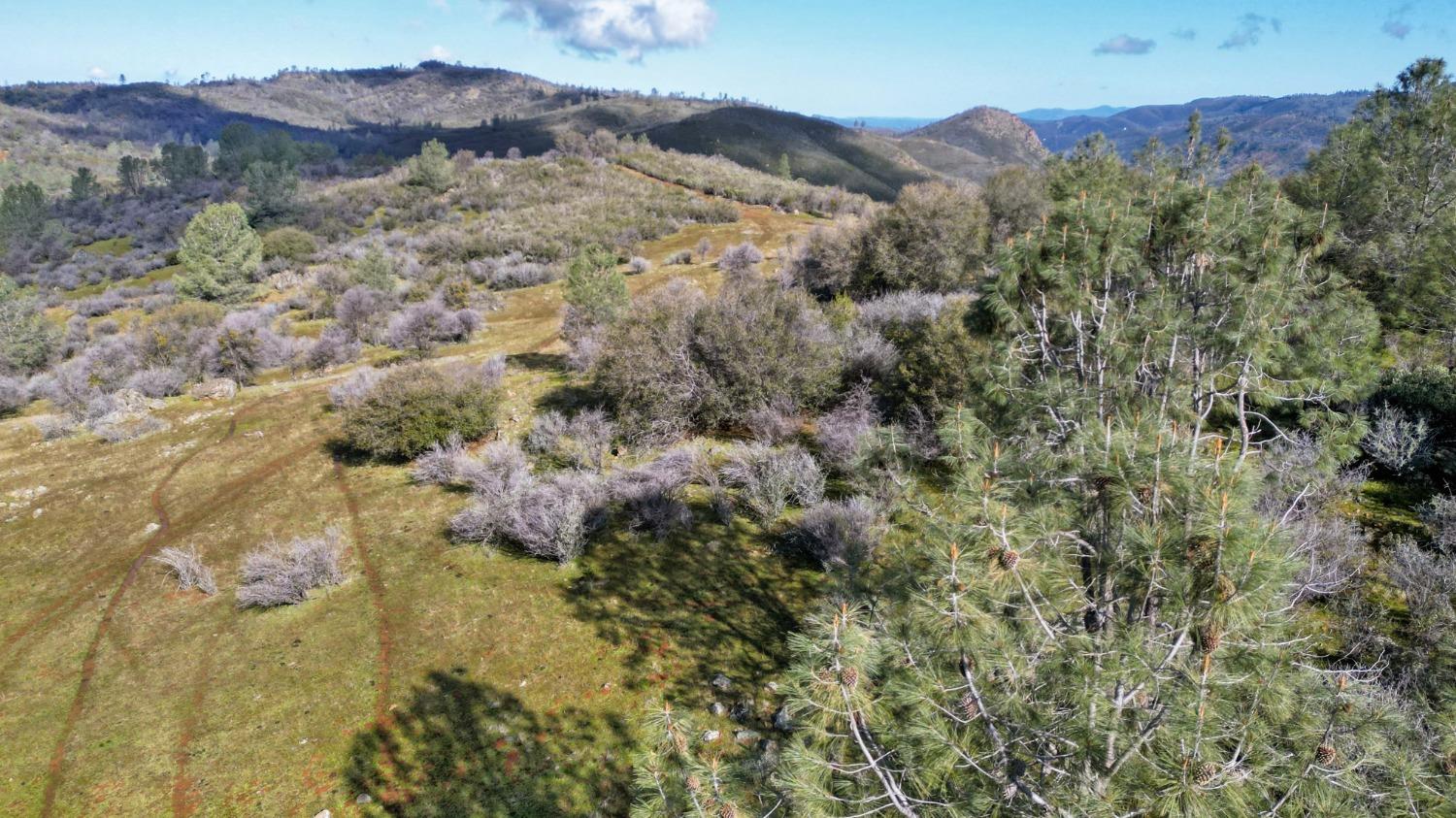 0 Blacks Creek Road Coulterville, CA 95311 - Photo 11 of 49 a view of a house with a mountain