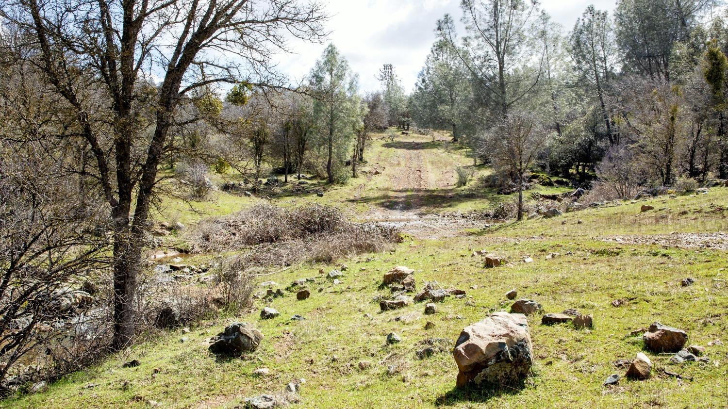 0 Blacks Creek Road Coulterville, CA 95311 - Photo 15 of 49 a view of a backyard of the house