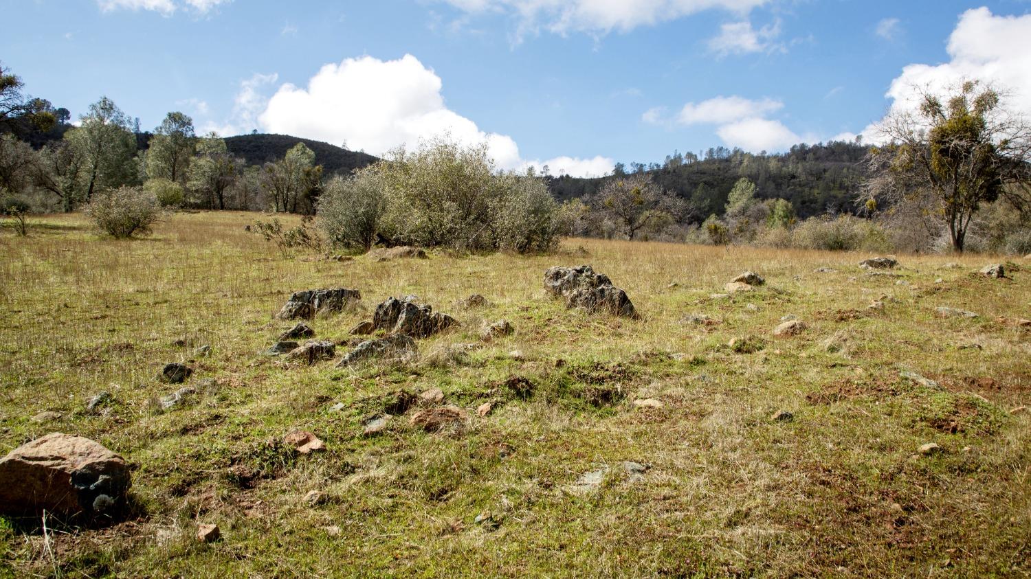 0 Blacks Creek Road Coulterville, CA 95311 - Photo 17 of 49 a view of a yard