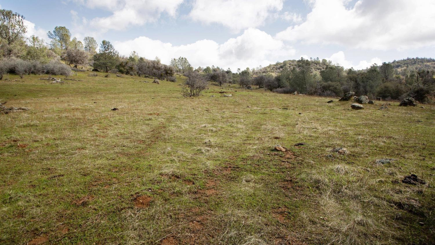 0 Blacks Creek Road Coulterville, CA 95311 - Photo 21 of 49 a view of an outdoor space and a yard