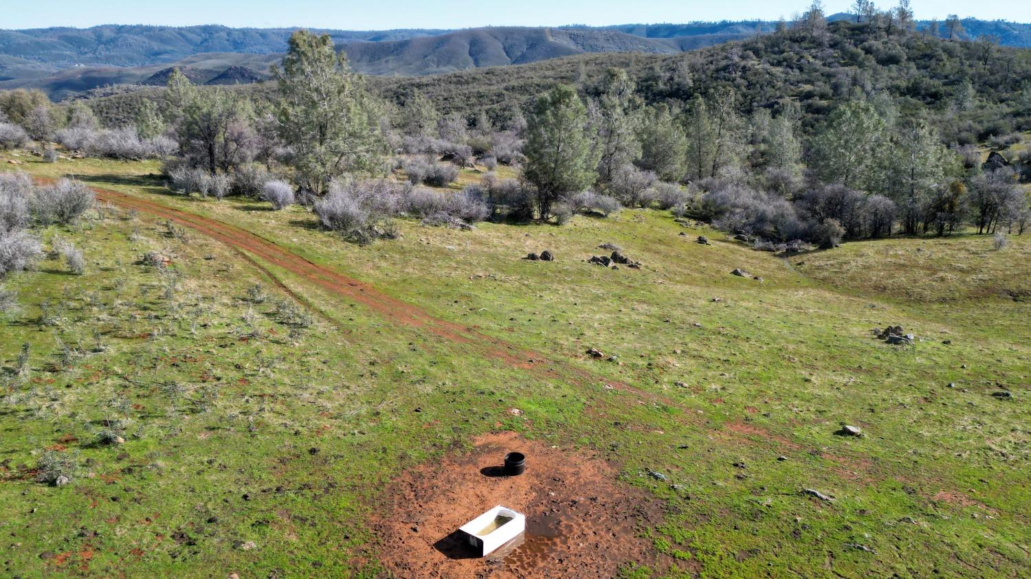 0 Blacks Creek Road Coulterville, CA 95311 - Photo 24 of 49 a view of a pathway with a field