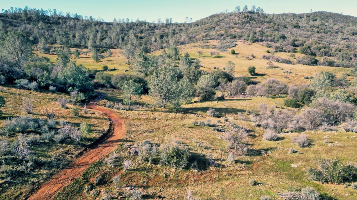 0 Blacks Creek Road Coulterville, CA 95311 - Photo 25 of 49 a view of a yard with mountains