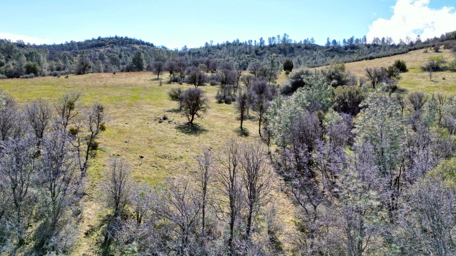 0 Blacks Creek Road Coulterville, CA 95311 - Photo 34 of 49 a view of a lake with trees by side of it