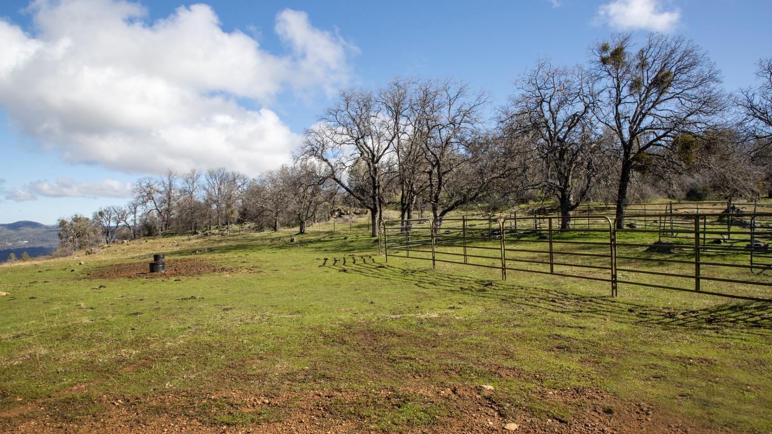 0 Blacks Creek Road Coulterville, CA 95311 - Photo 5 of 49 a view of yard with swimming pool and trees