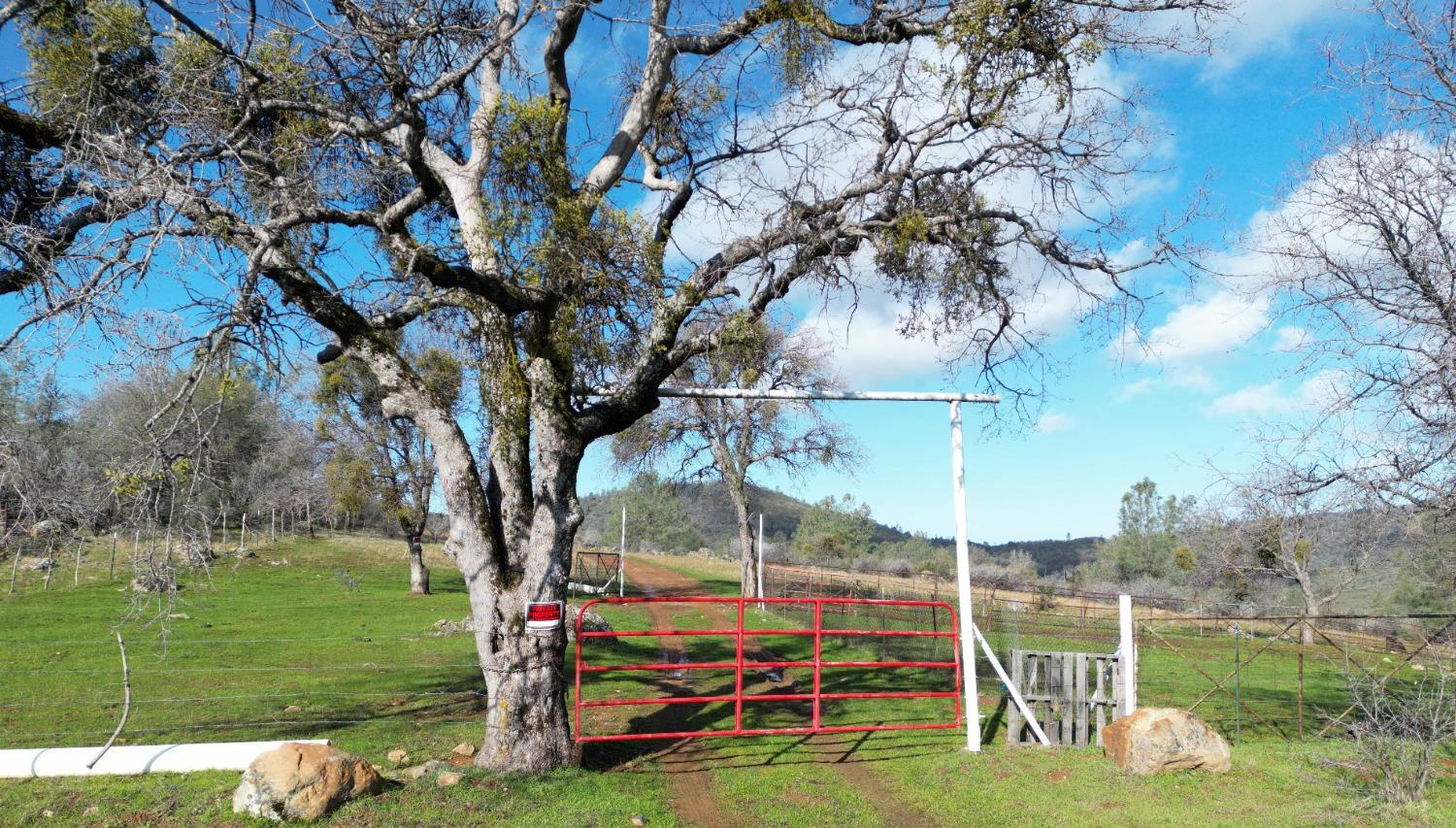 0 Blacks Creek Road Coulterville, CA 95311 - Photo 9 of 49 a view of an outdoor space and entertaining space