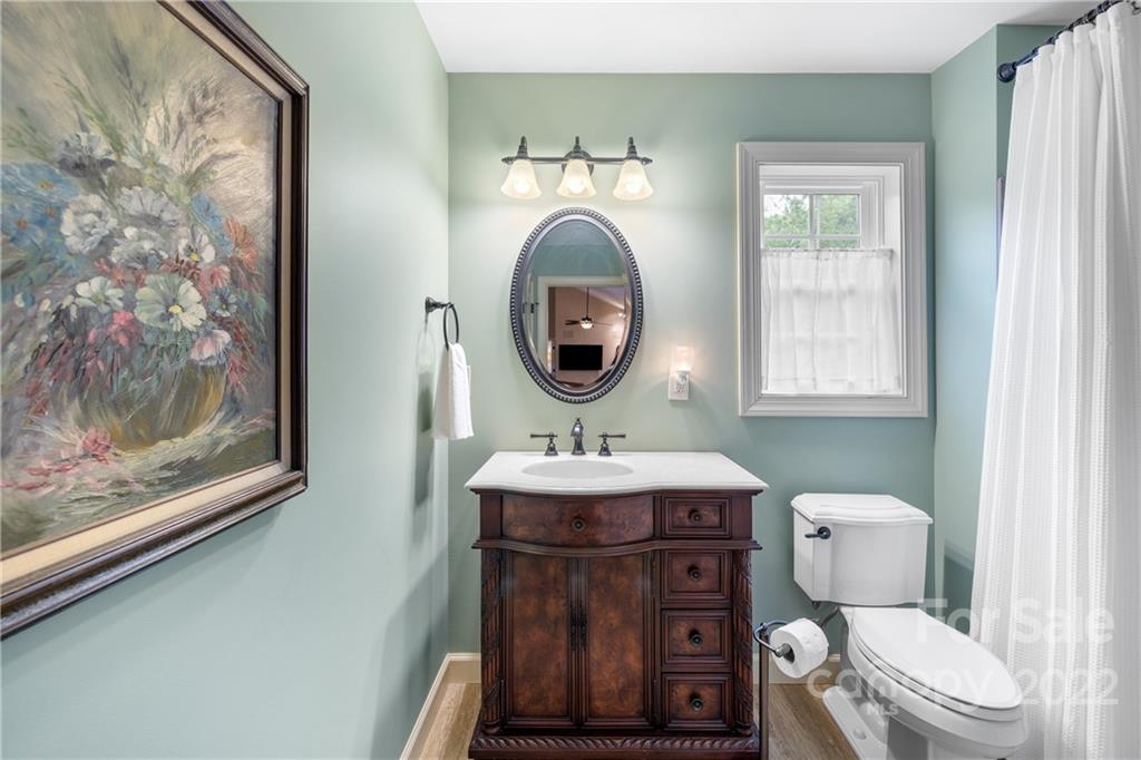 1040 Landrum Mill Road Campobello, SC 29322 - Photo 19 of 39 a bathroom with a toilet a sink and a mirror
