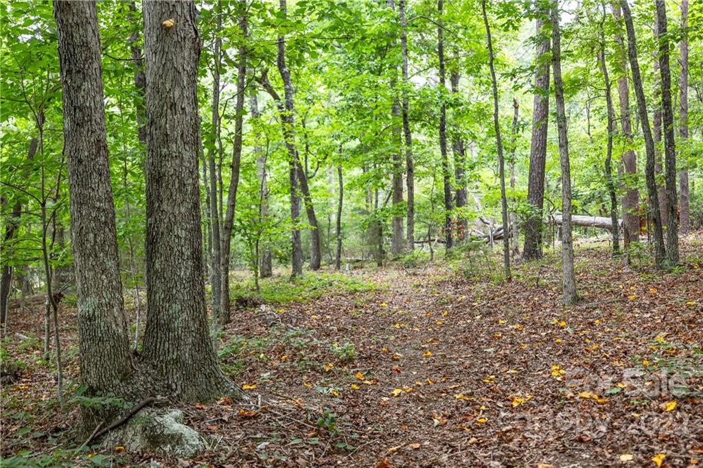 1040 Landrum Mill Road Campobello, SC 29322 - Photo 39 of 39 a view of outdoor space and trees