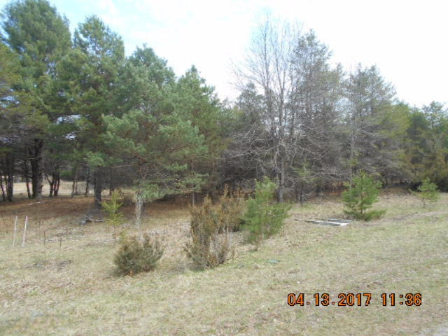4846 West Decker Road Ludington, MI 49431 - Photo 1 of 17 004