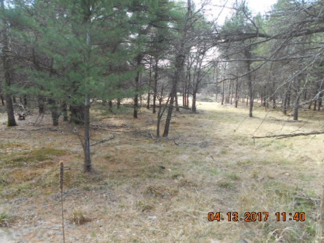 4846 West Decker Road Ludington, MI 49431 - Photo 12 of 17 015