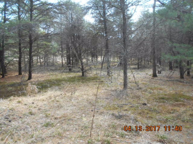 4846 West Decker Road Ludington, MI 49431 - Photo 13 of 17 016