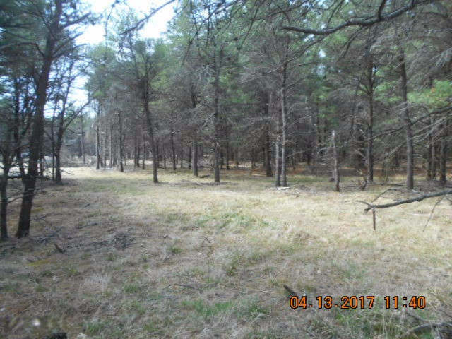 4846 West Decker Road Ludington, MI 49431 - Photo 14 of 17 017