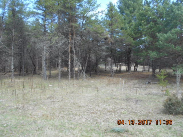 4846 West Decker Road Ludington, MI 49431 - Photo 2 of 17 005