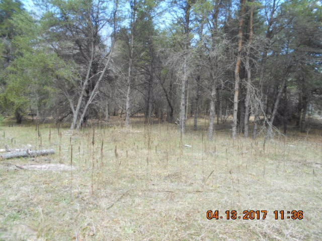 4846 West Decker Road Ludington, MI 49431 - Photo 3 of 17 006