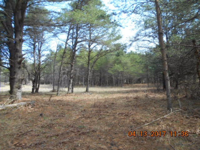 4846 West Decker Road Ludington, MI 49431 - Photo 4 of 17 007