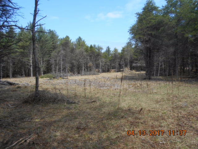 4846 West Decker Road Ludington, MI 49431 - Photo 5 of 17 008