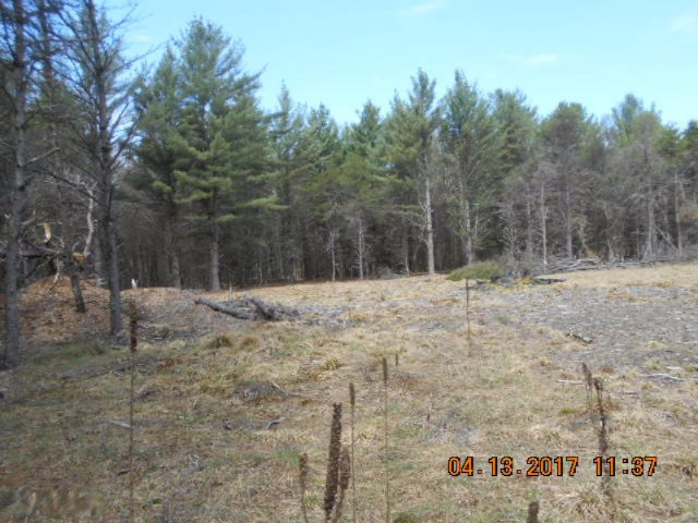 4846 West Decker Road Ludington, MI 49431 - Photo 6 of 17 009