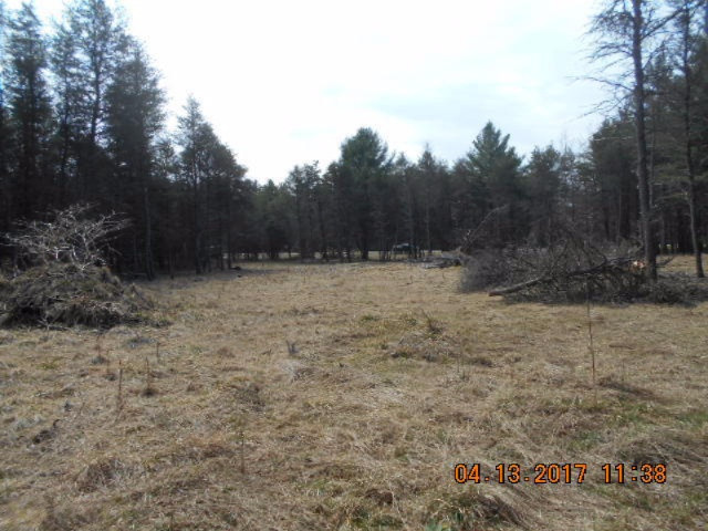 4846 West Decker Road Ludington, MI 49431 - Photo 7 of 17 010