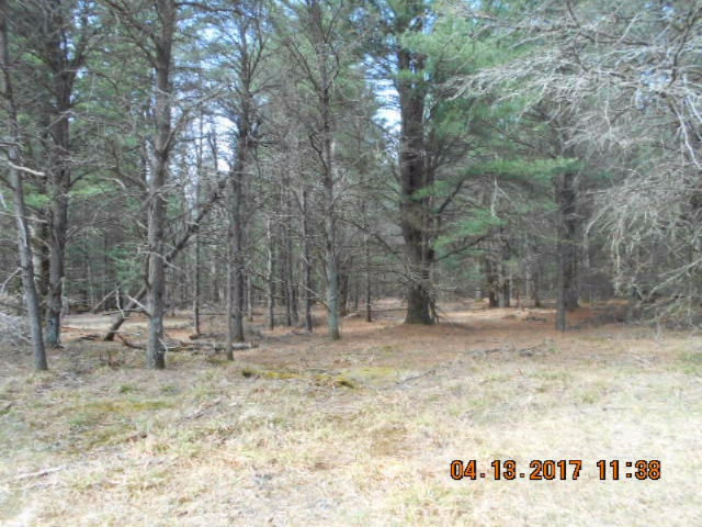 4846 West Decker Road Ludington, MI 49431 - Photo 8 of 17 011