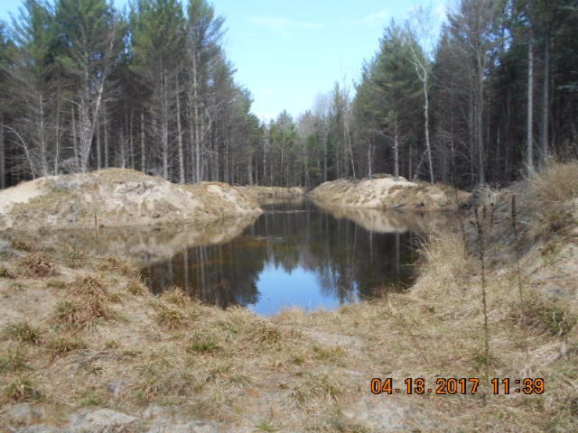 4846 West Decker Road Ludington, MI 49431 - Photo 9 of 17 012
