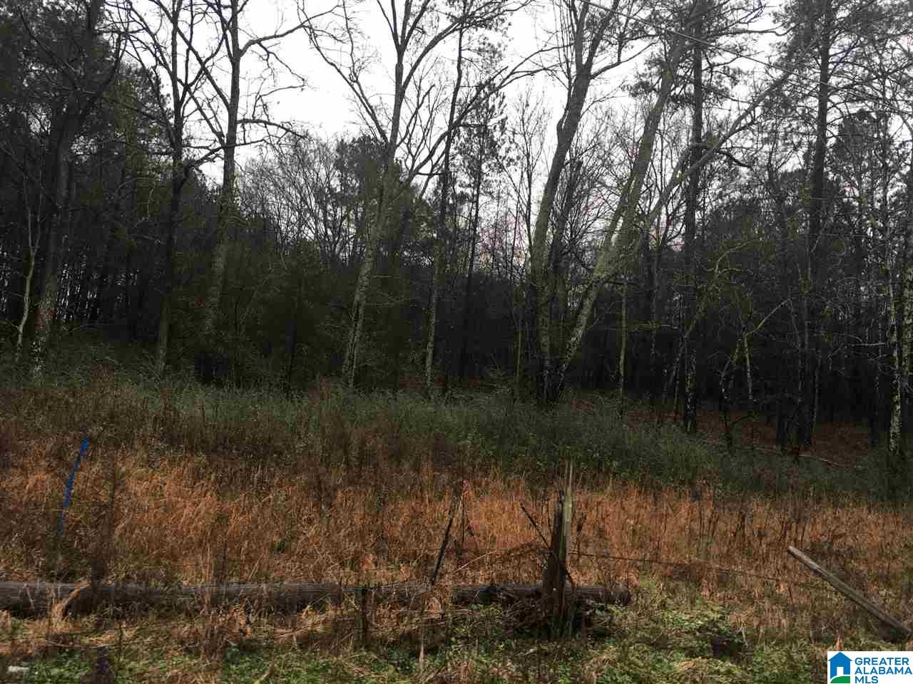 1245 Eureka Road, Unit 2 Lincoln, AL 35096 - Photo 4 of 32