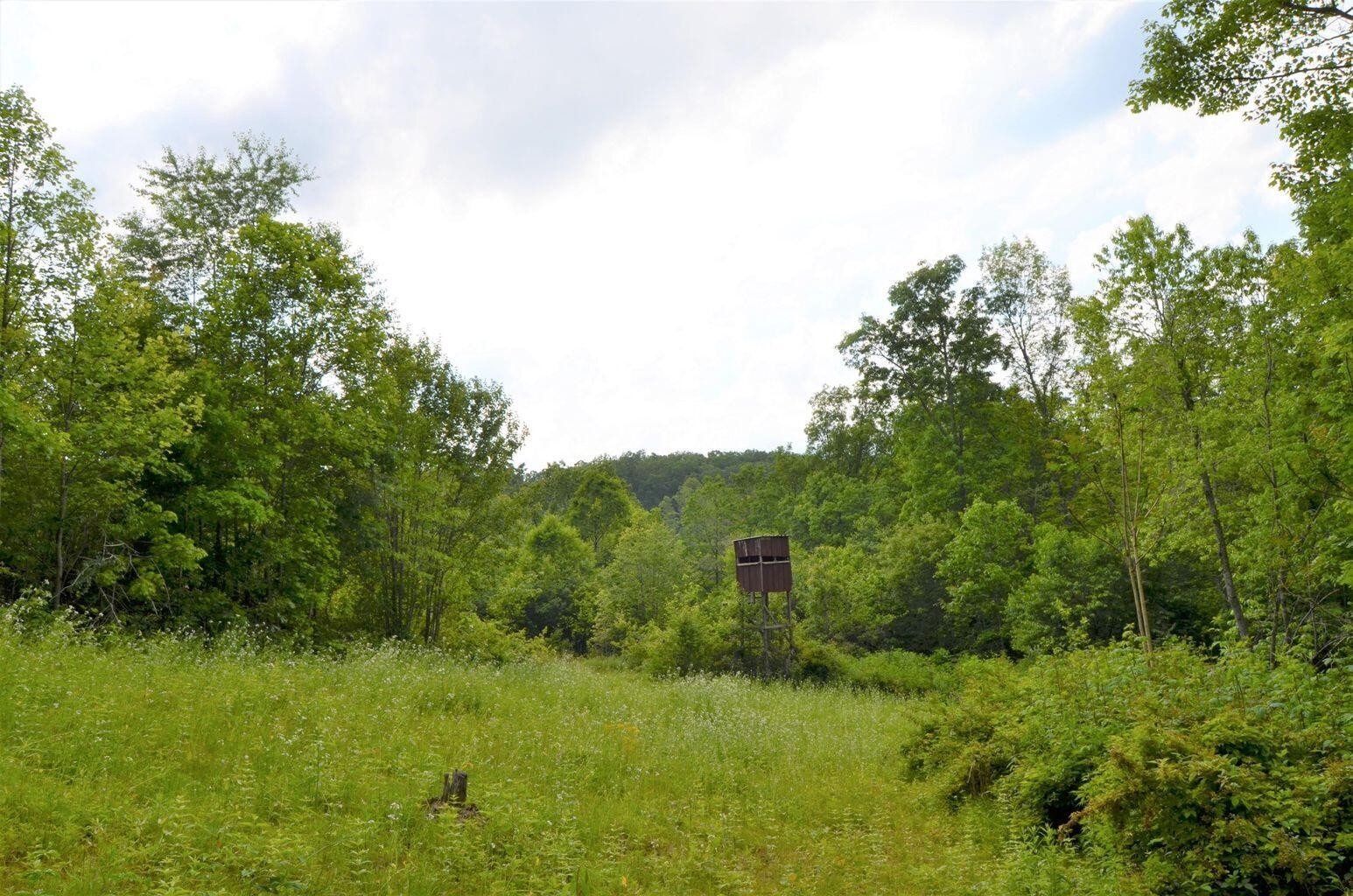 0 Milo Webb Road Crossville, TN 38572 - Photo 14 of 26 Gallery Image 14