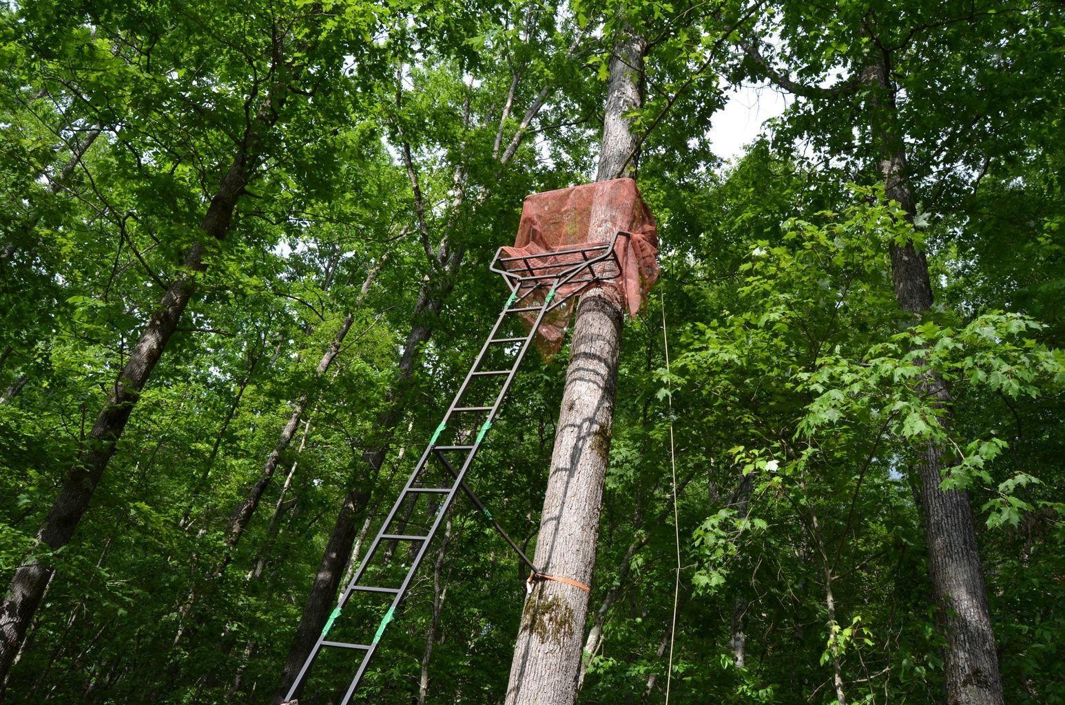 0 Milo Webb Road Crossville, TN 38572 - Photo 16 of 26 Gallery Image 16