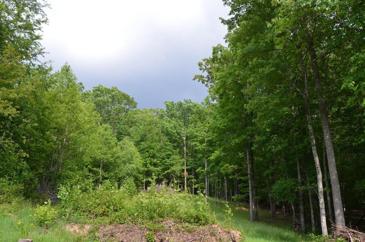 0 Milo Webb Road Crossville, TN 38572 - Photo 19 of 26 Gallery Image 19