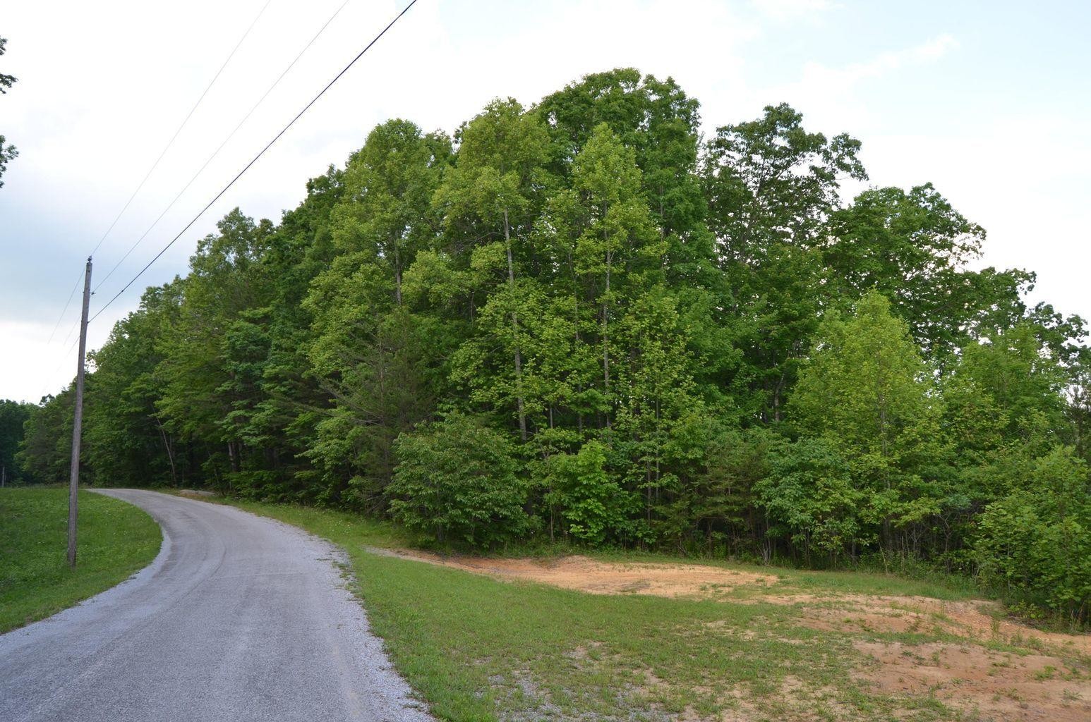 0 Milo Webb Road Crossville, TN 38572 - Photo 2 of 26 Gallery Image 2