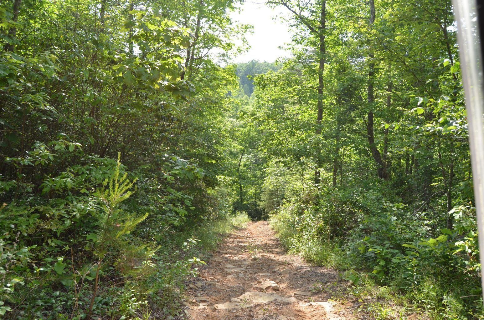 0 Milo Webb Road Crossville, TN 38572 - Photo 21 of 26 Gallery Image 21