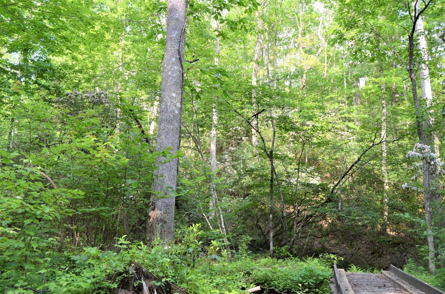 0 Milo Webb Road Crossville, TN 38572 - Photo 26 of 26 Gallery Image 26