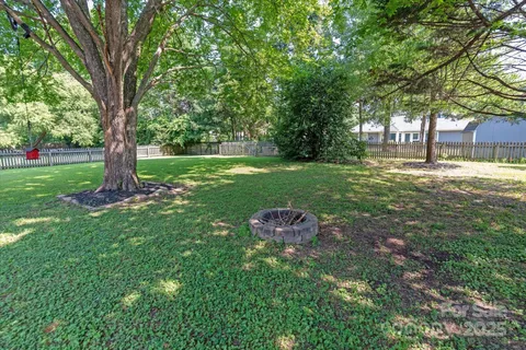 a view of a garden with a tree
