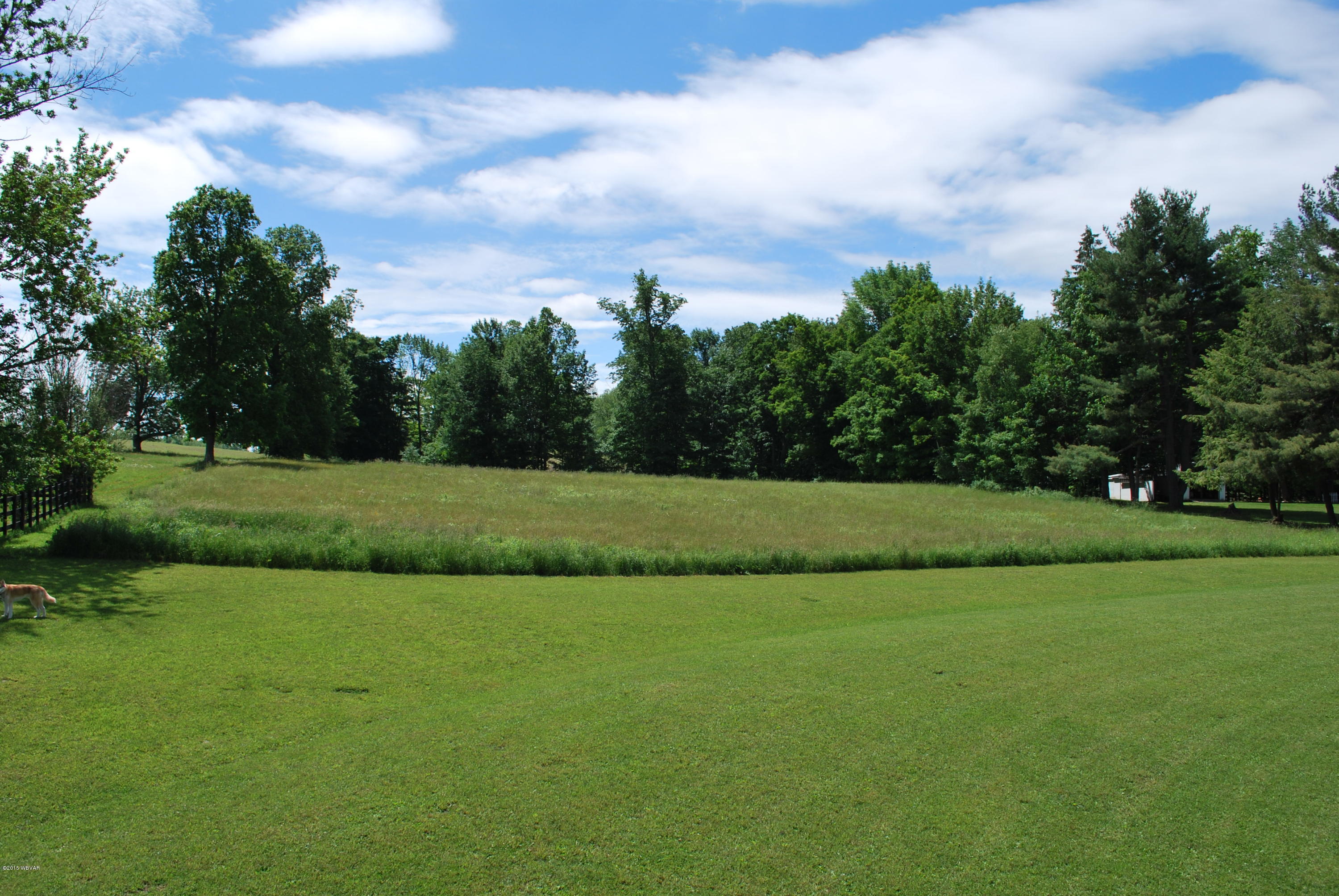 510 Windfall Road Canton, PA 17724 - Photo 4 of 11 Large Yard
