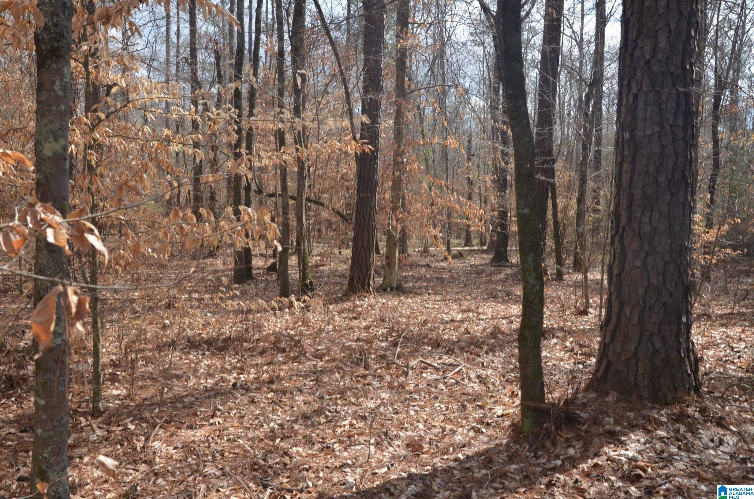 0 Settlers Ridge Alabaster, AL 35007 - Photo 10 of 19