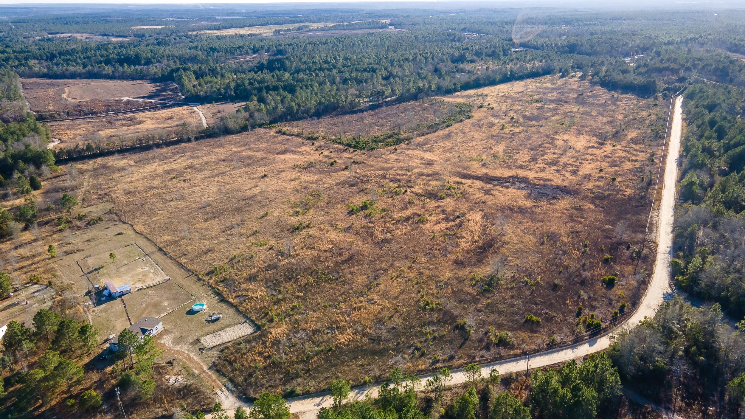 Lot 4 Old Shoals Road Monetta, SC 29105 - Photo 11 of 18