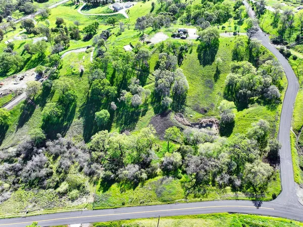 a view of a garden with plants