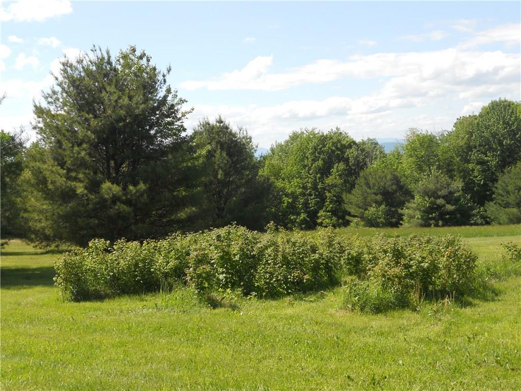 173 Ward Hill Road Madison, ME 04950 - Photo 32 of 35 Raspberry & blueberry bushes and...