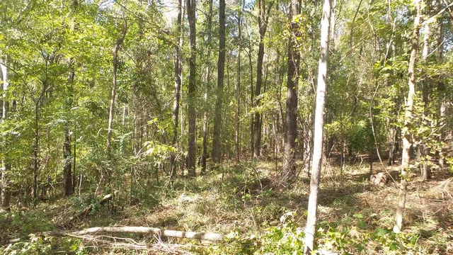 $26,000 | 0 Kelly Street, Lincolnton, GA 30817