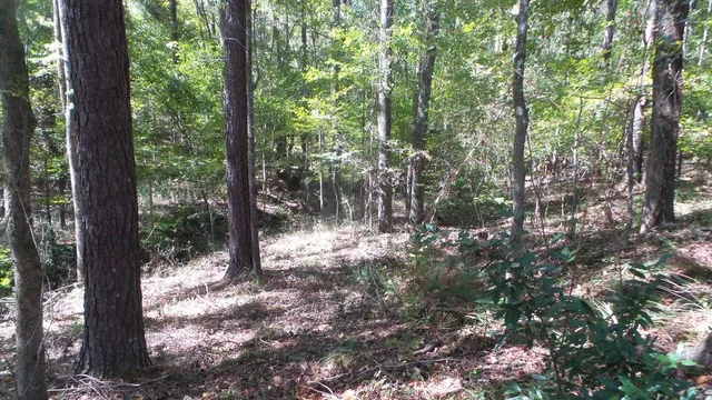 $26,000 | 0 Kelly Street, Lincolnton, GA 30817