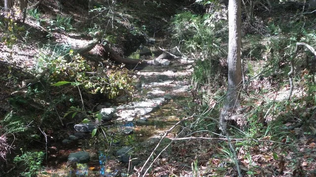 $26,000 | 0 Kelly Street, Lincolnton, GA 30817