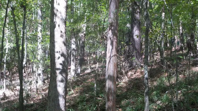 $26,000 | 0 Kelly Street, Lincolnton, GA 30817