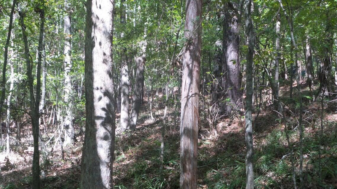 0 Kelly Street Lincolnton, GA 30817 - Photo 7 of 9 20241019201226736679000000-o