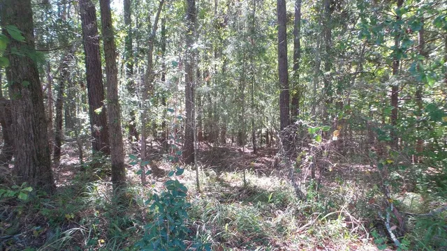 $26,000 | 0 Kelly Street, Lincolnton, GA 30817