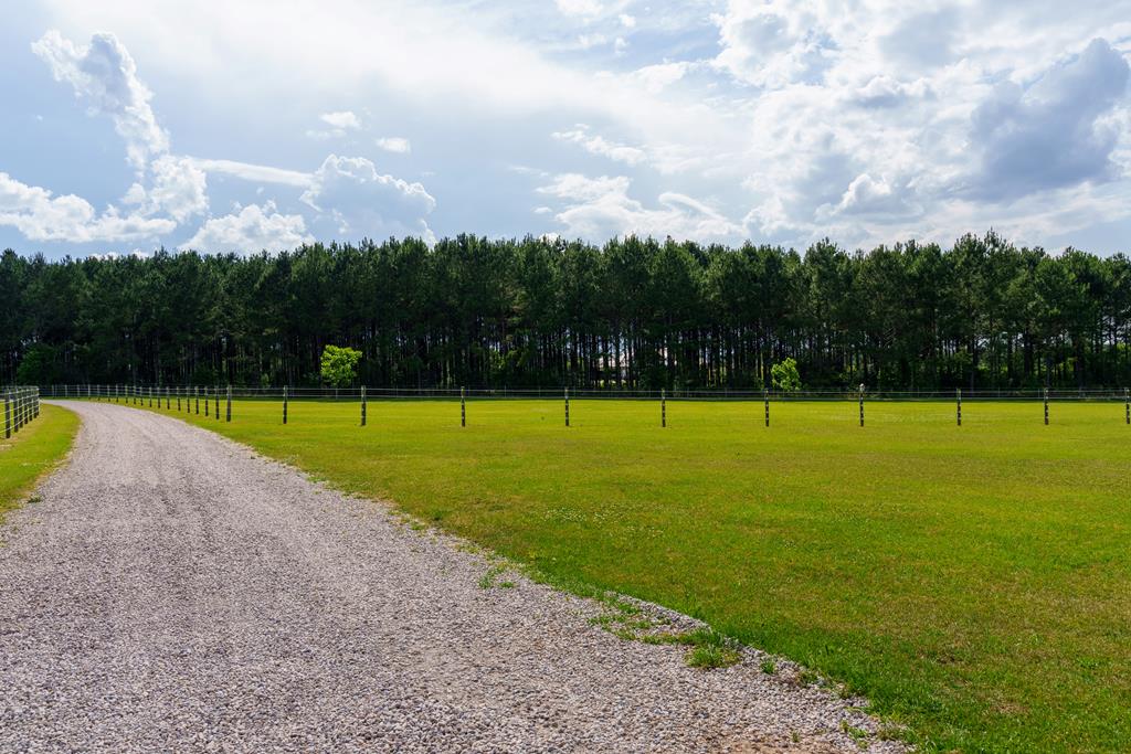 1065 Edsel Deese Road Ashford, AL 36312 - Photo 47 of 58 Gallery Image 47