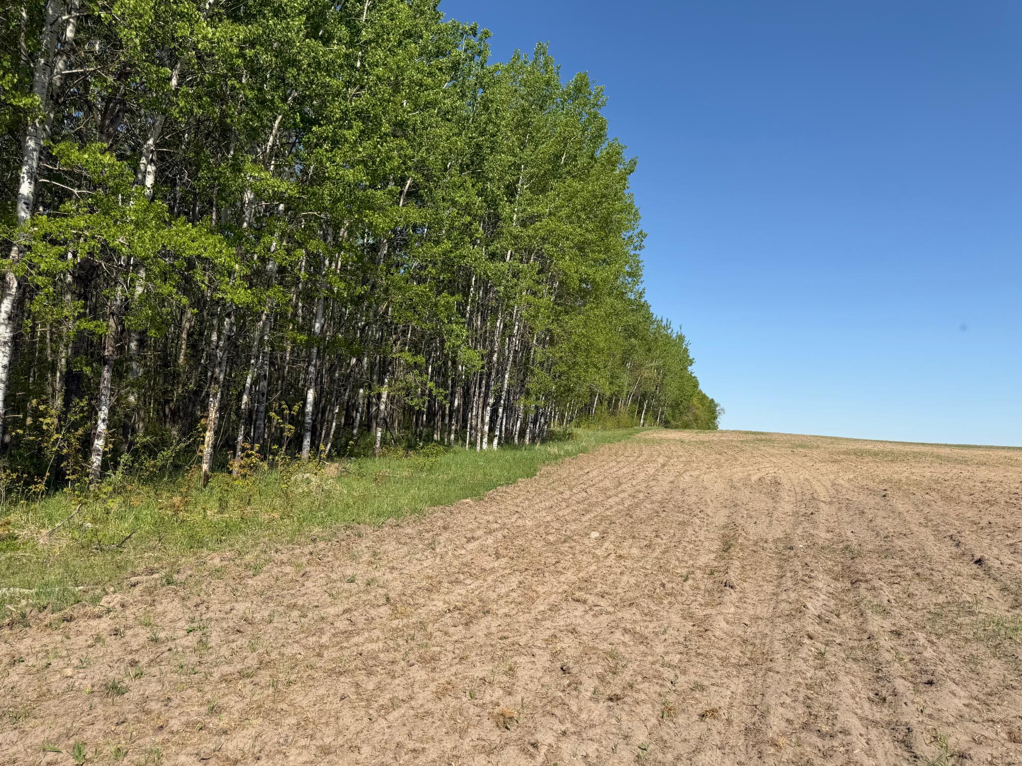 14 Sebeka Mn 56477 Sebeka, MN 56477 - Photo 45 of 79
