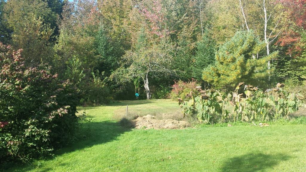 325 Goding Road Livermore, ME 04253 - Photo 23 of 35 Plenty of space for gardens or...