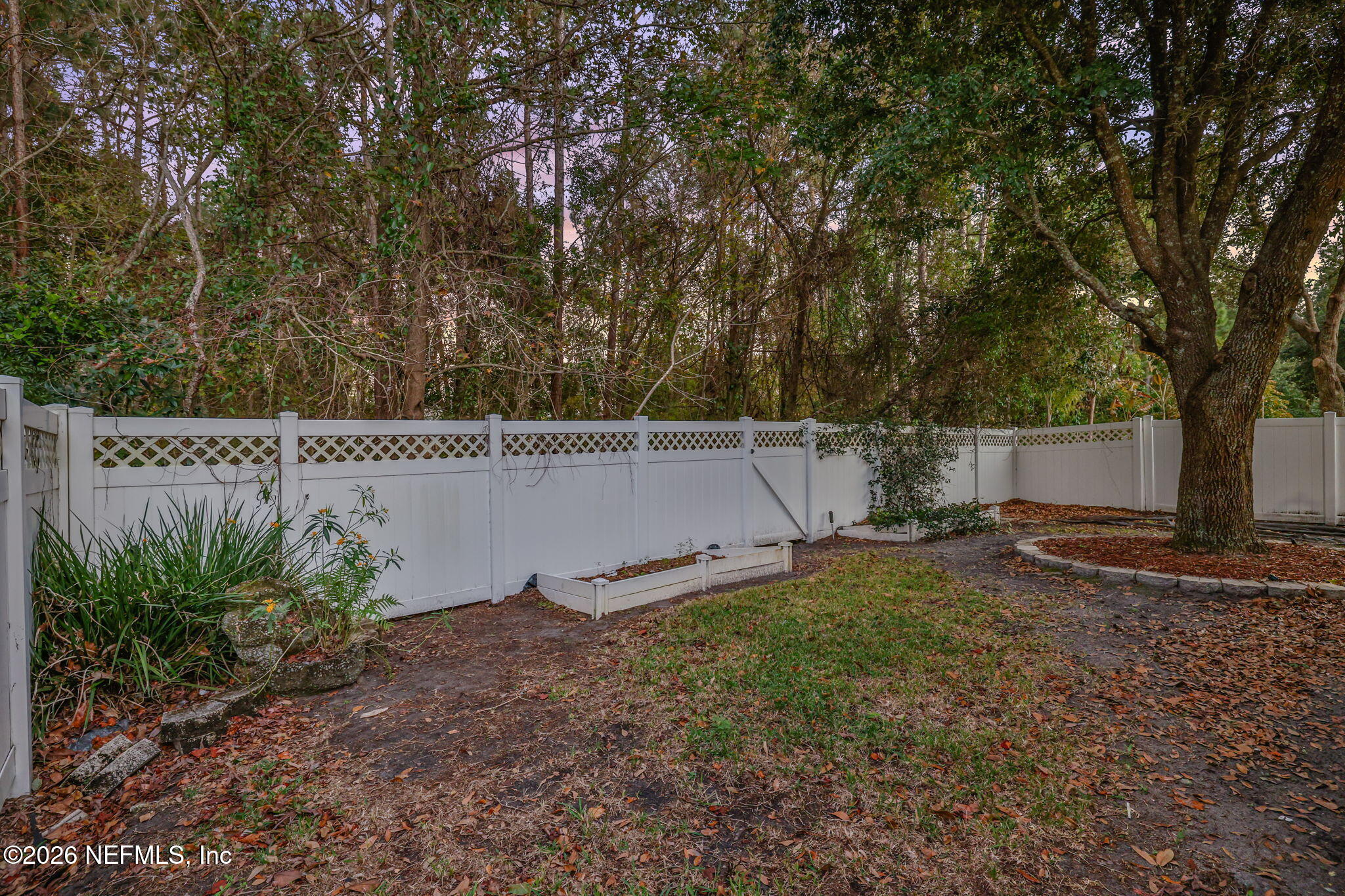 511 Roserush Lane Jacksonville, FL 32225 - Photo 50 of 61 12-web-or-mls-036A7408-Edit