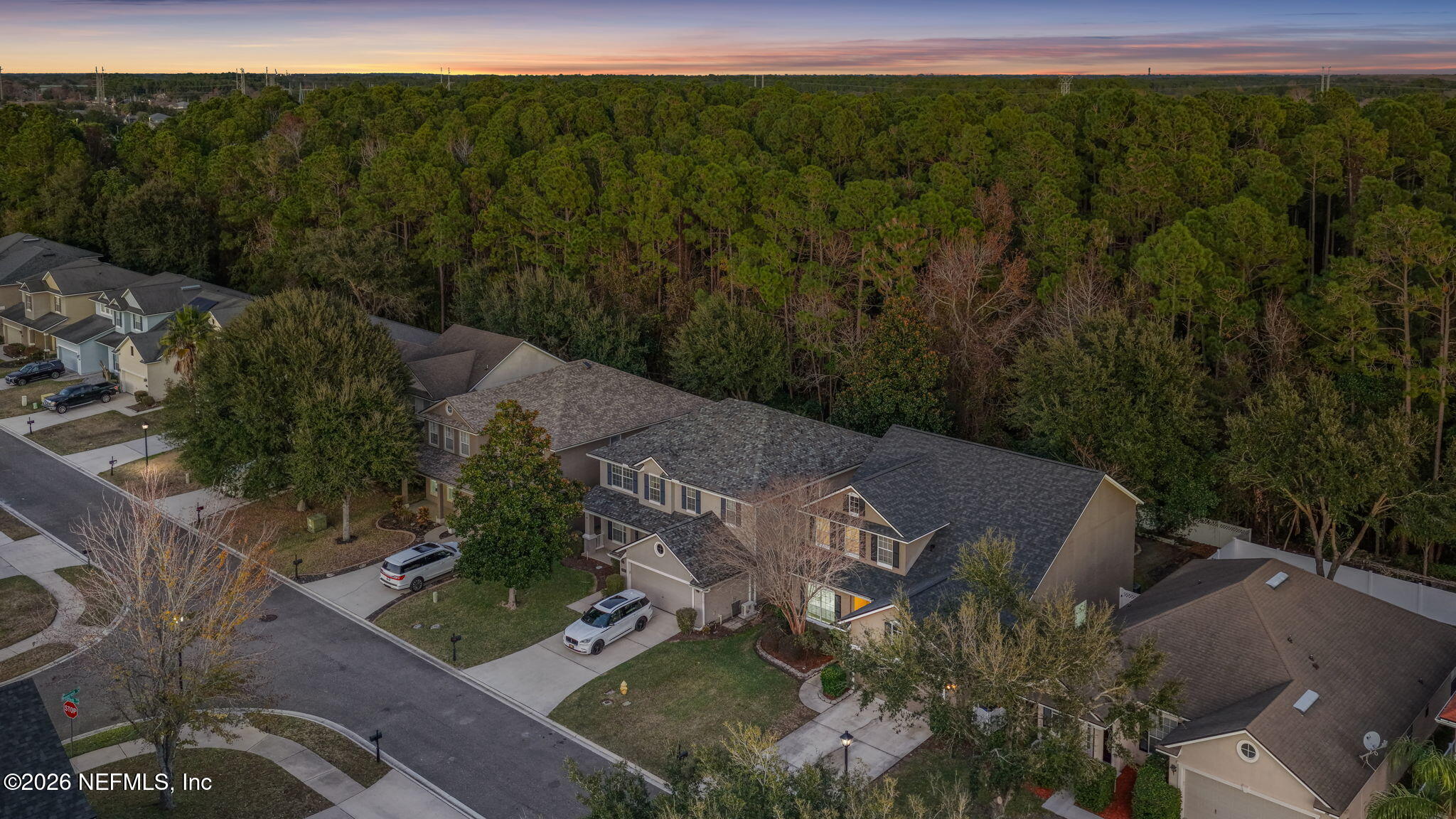 511 Roserush Lane Jacksonville, FL 32225 - Photo 55 of 61 an aerial view of a house with a yard