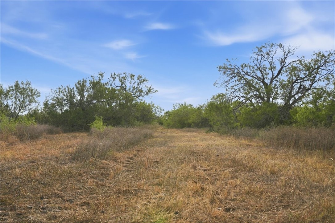 1991 South Highway 37 Three Rivers, TX 78071 - Photo 13 of 60 Gallery Image 13